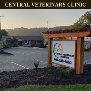 Central Veterinary Clinic