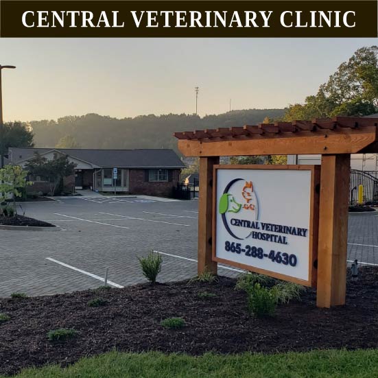 Central Veterinary Clinic